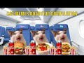 Cat memes roadtrip compilation