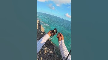 Squid Catching Secrets: The Artful Sacrifice that Leads to Dinner Mastery!