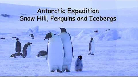 Antarctica Expedition: Snow Hill, Penguins & Icebergs | Stunning Wildlife & Helicopter Footage