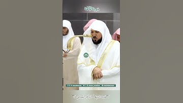 تلاوة خاشعة 🕊 سورة المائدة 🌿  #_للشيخ أ.د #ماهر بن حمد #المعيقلي الليلة 8 #رمضان1446_2025