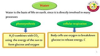 nutrients proteins, water and minerals