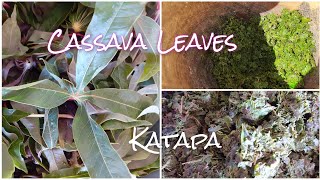 Cassava Leaves (katapa) Cooking