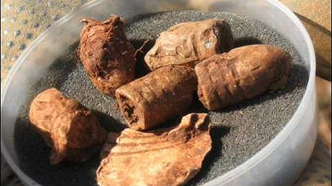 Metal Detecting Time Searchers Div 10 Civil War Relic Hunt Highlander Style!