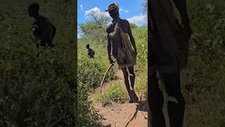 The Tribal Chief and the Lion: Fear Turns into Silence#shurtsvideo