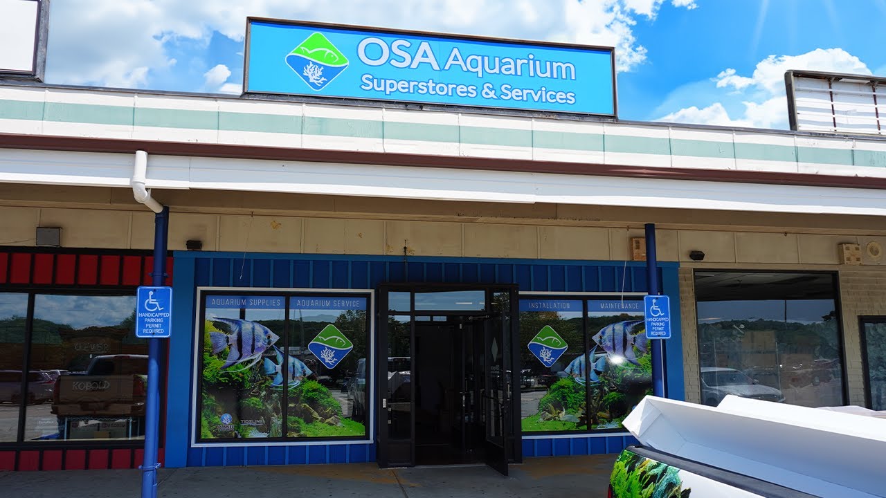 OSA in Groton, CT