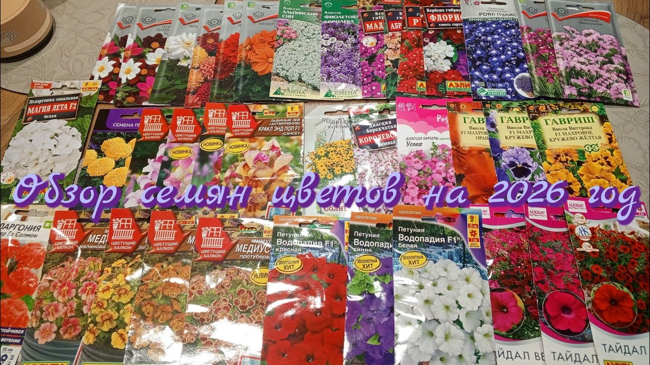 Что я буду сеять из однолетних цветов 💐💐💐