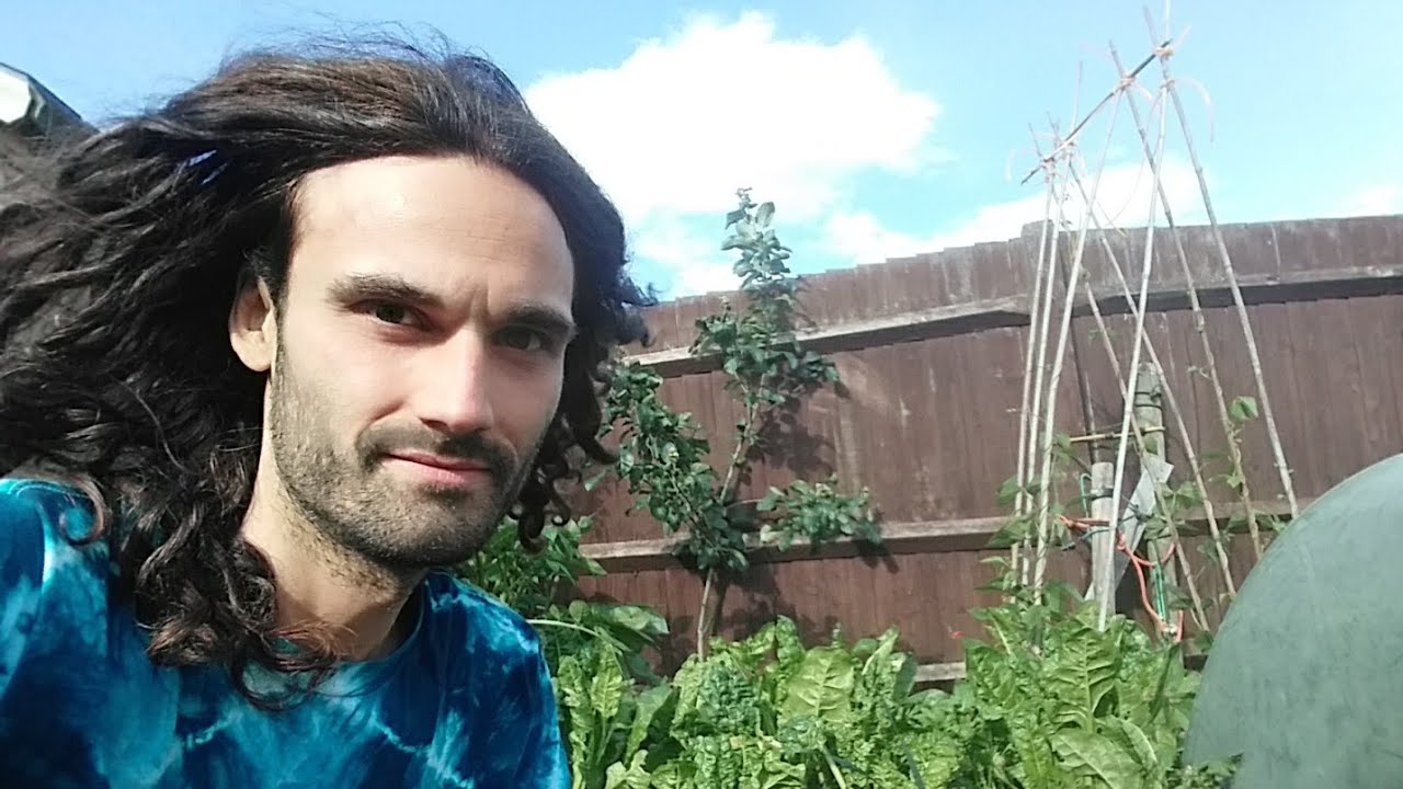 Mid Summer!, Mid June UK gardening. Growing your own food!! - YouTube