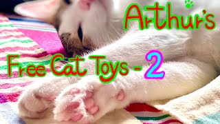 Tiny Rescue Kitten Turned Into The Great Cat Arthurs Absolutely Free Diy Cat Toys-2