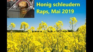 Honig schleudern, Raps Mai 2019 *4K* - YouTube