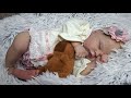 Renacimiento de Quinbee de Laura Lee Eagles #reborn #rebornoriginal #baby #bebe