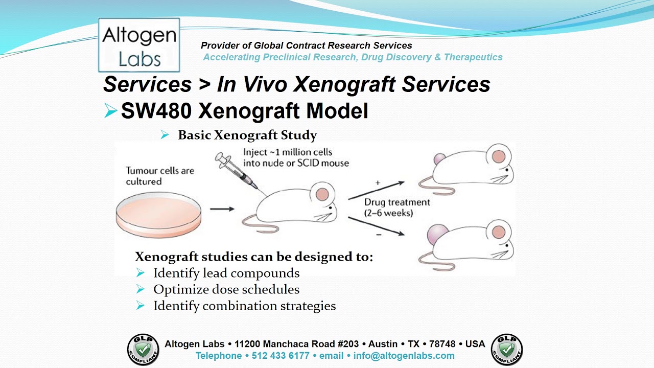 Altogen Labs SW480 Xenograft Service Colon Cancer - YouTube