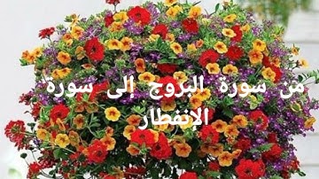 قصار السور للحفظ : من سورة البروج إلى سورة الإنفطار