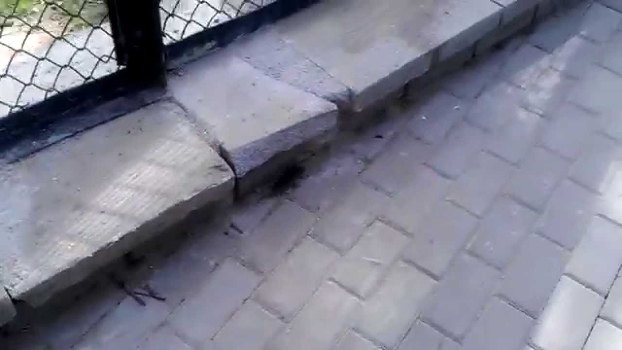 Побег из тюрьмы 5 сезон - YouTube