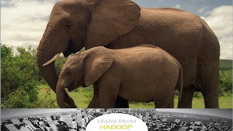 Big Data & Hadoop Tutorial  | Section 1: Introduction to Hadoop | Part 1: What is Big Data &  Hadoop