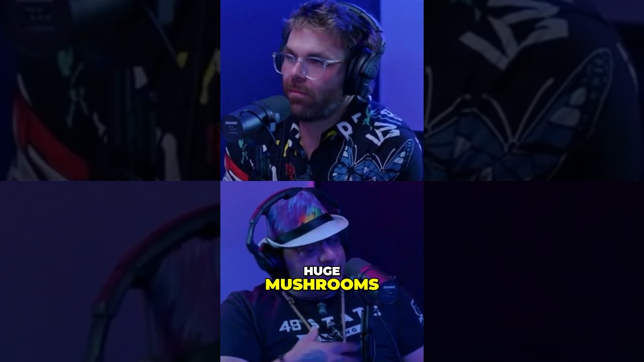 Therapeutic MUSHROOMS #podcast #shorts #shortsvideo #viral #viralvideo #viralshorts ￼