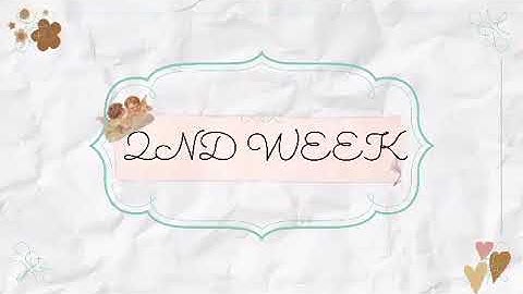 NSTP-Community Services