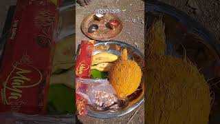 Pantha kal nattachi..💫||MINI VLOG #317 #shortsfeed #youtube #youtubeshorts #music #trending