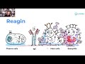 Pathology of Type I Allergic Reactions (Allergies, Hypersensitivity Reactions, Anaphylaxis)