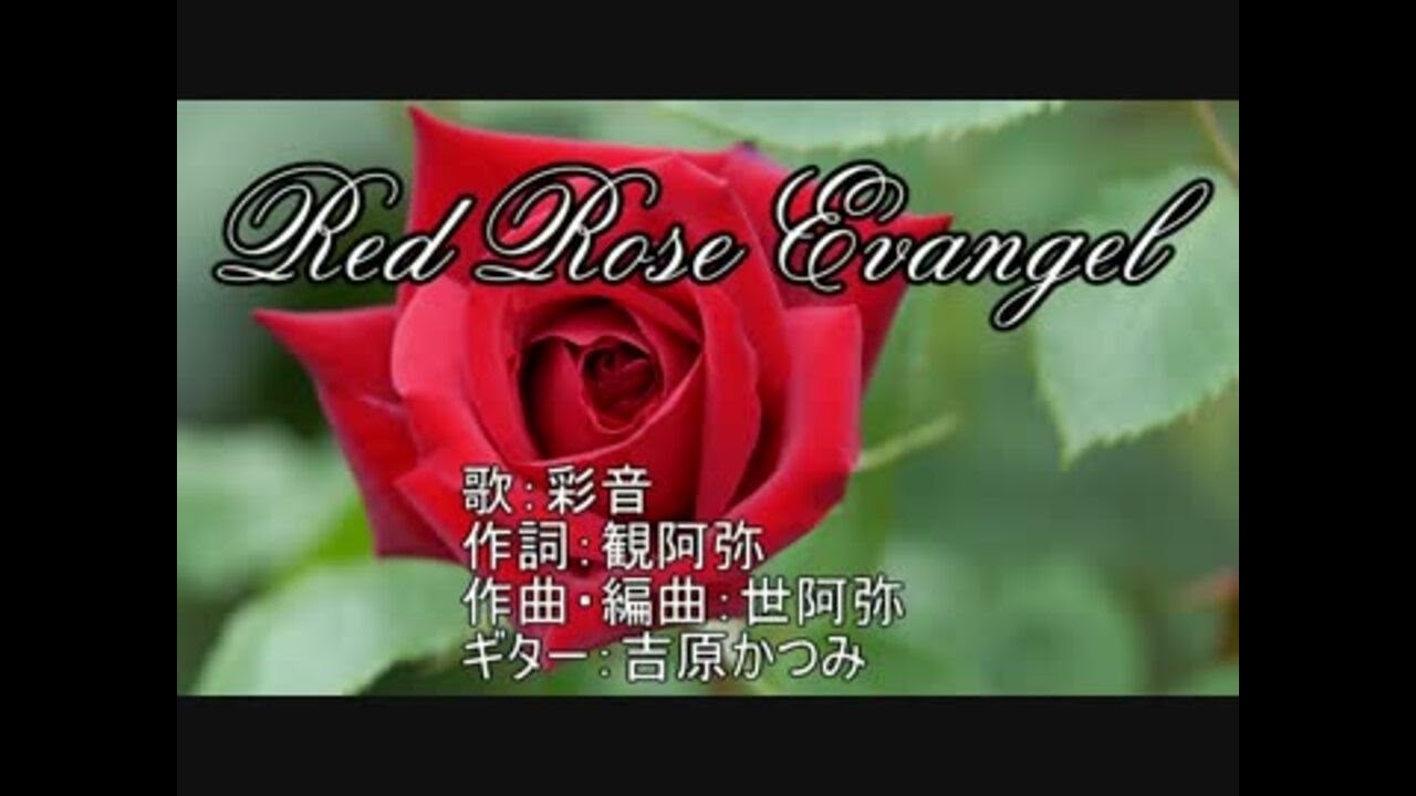 Red Rose Evangel Zeami Feat Ayane Lyrics Song Meanings Videos Full Albums Bios