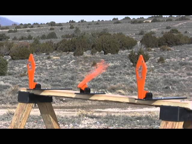 Champion .22 Diamond Pop-Up Target - Shooting Review - YouTube