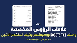 علامات الرؤوس المخصصة و ملف robots txt ووظيفتهم | بلوجر 2021