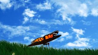 3D Max Butterfly Introduction