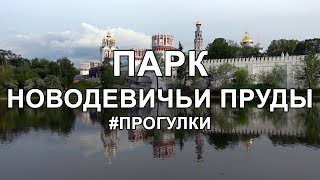 Прогулки: Парк «Новодевичьи пруды»