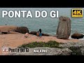 Ser obra de la naturaleza intrigante piedra en ponta do gi walking tour en 4k laguna  brasil