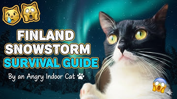 FINLAND SNEEUWSTORM OVERLEVINGSGIDS (Door een boze binnenkat) 😼❄️