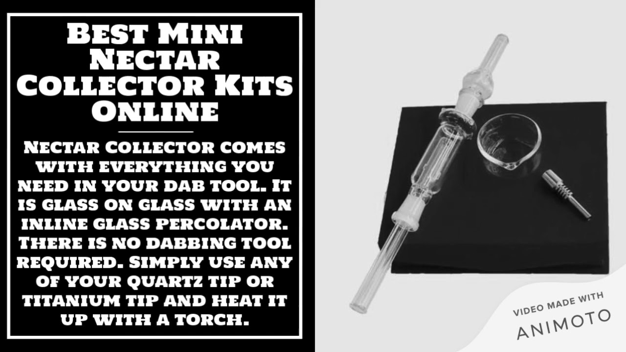 Shop Premium Disposable Vape Pens
