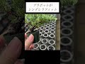 ここからが長い（ムロだし）