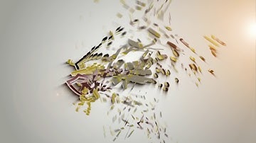 Clean particle logo intro after effects