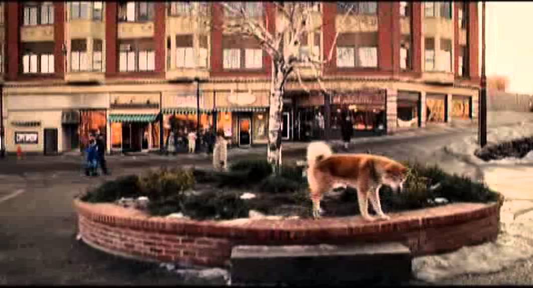 Хатико балаково магазин техники. Хатико. Фогель Хатико. Hachiko ресторан.