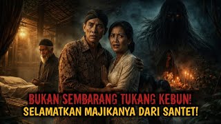 Download Lagu DISANTET ADIK KANDUNGNYA! DISELAMATKAN TUKANG KEBUNYA YANG TERNYATA SEORANG ABDI DALEM! MP3