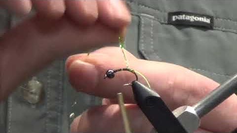 NEON CADDIS