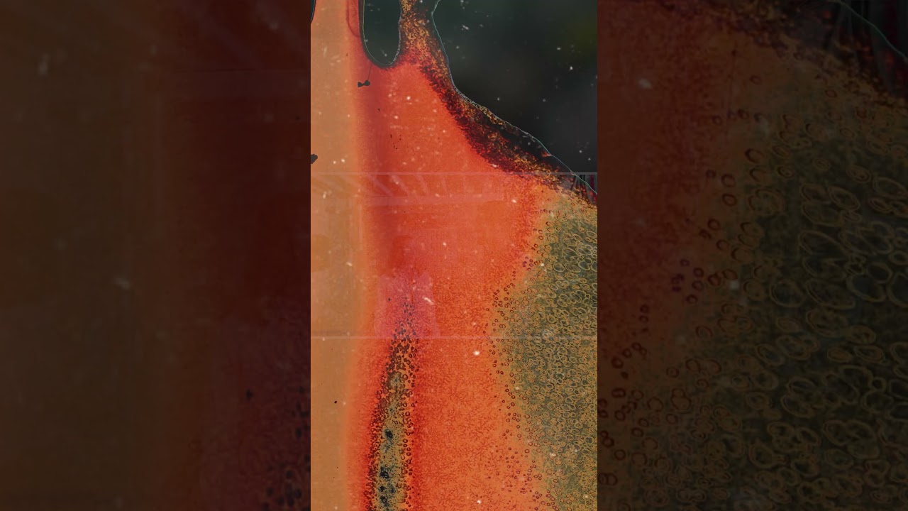 Hey Eric Local Business Highlight - Peak State Fit - Salt Lake City, UT