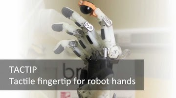 TACTIP MultiMediaReport