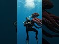 The Octopus | D-World-Dev #reels #viral #viralvideo #viralshorts #shorts #short #reels #shortvideo