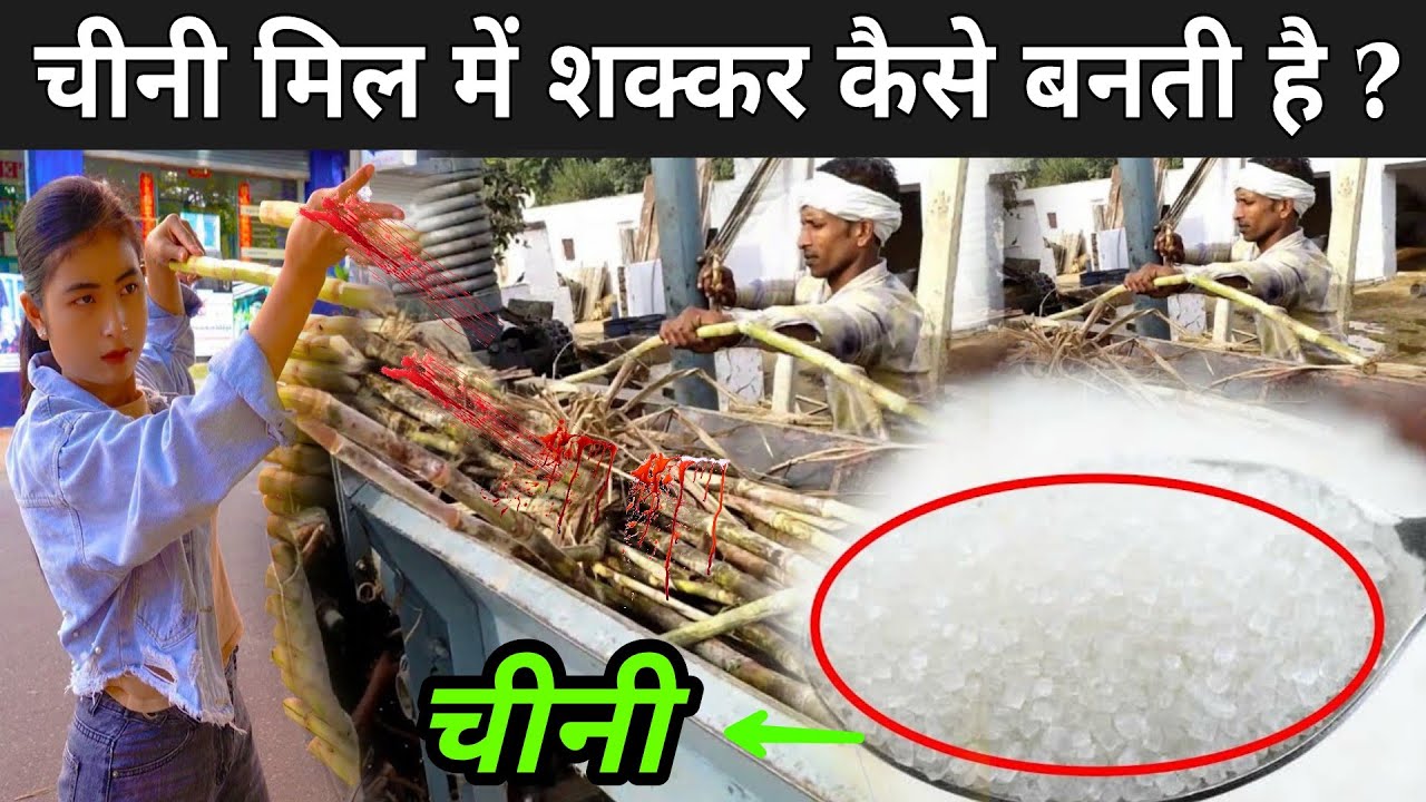 चीनी मिल में शक्कर कैसे बनती है ? How Sugar Is Made Shakkar Kaise