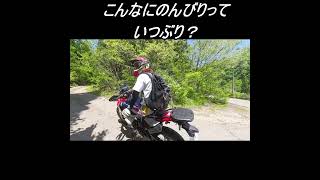 弟はかっこよかった件 #crf250rally #automobile #オフロード #岐阜 #dirtbike #enduro #bikelife #offroad＃白鳥