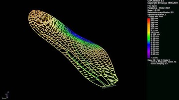 Oasys GSA - Architecture of the Dragonfly Wing