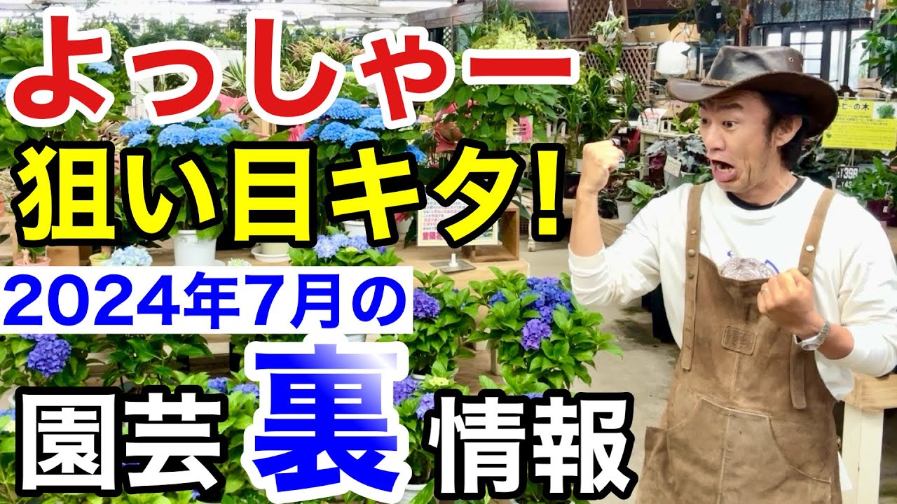 チャンス到来】ここだけ狙えば7月は絶対に得します 【カーメン君