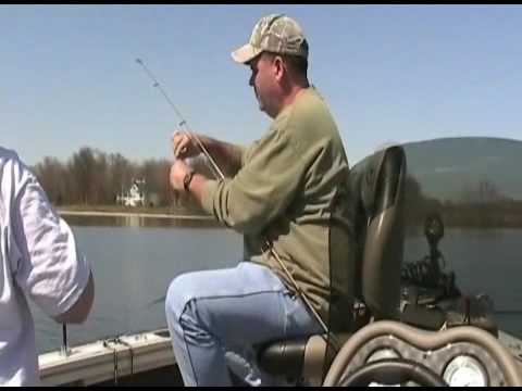 Our Bell, Bucks, and Beards pro staff fishing trip with Erie Quest Charters was postponed due to gale force winds and 8-11 ft waves, so we stayed local and f...