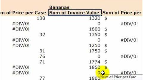 Create a Calculated Field in an Excel 2007 Pivot Table