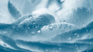 Philosophy Of Wednesday   Honoka Yomi Featflehmann free Bgmvtuber Original Song