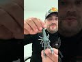 Lure Review On the Shads Lures 5.5” Yabby in Redclaw and Blue claw. Barra Murray cod soft plastics