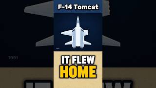 An F-14 Lost Over Half a Wing and Flew Home