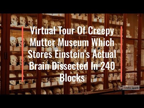 Virtual Tour Of Creepy Mutter Museum Which Stores Einstein's Actual Brain Dissected In 240 Blocks