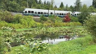 Bellefield Office Park. Link 2 Line. Great Blue Heron.