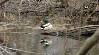 Iowa gets $9.5M to fight forever chemicals in drinking water